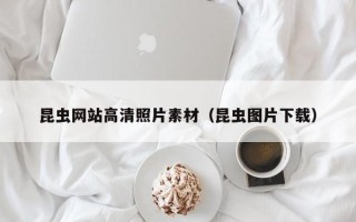 深圳昆虫网站高清照片素材（昆虫图片下载）